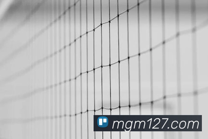 多媒体互动体验